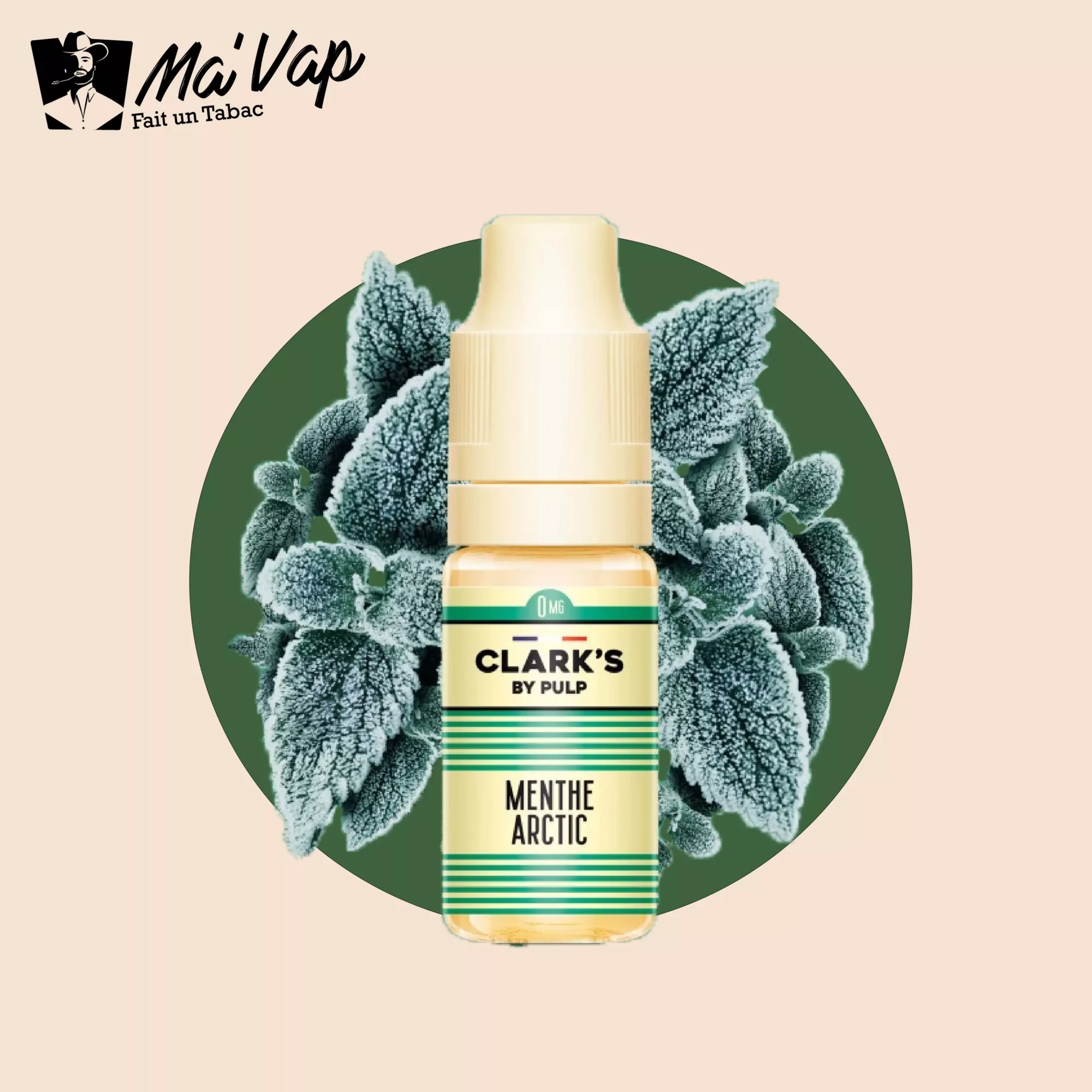 menthe-arctic